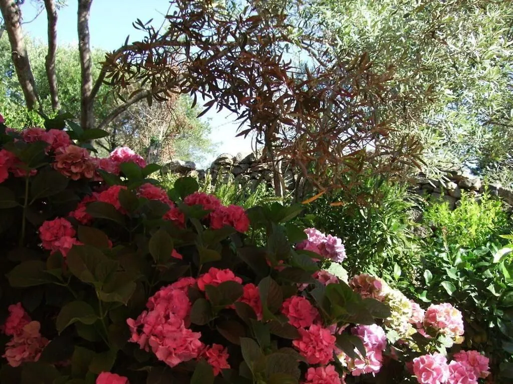Casa Felicita Comfortable Holiday Residence Lu Lioni Holiday home